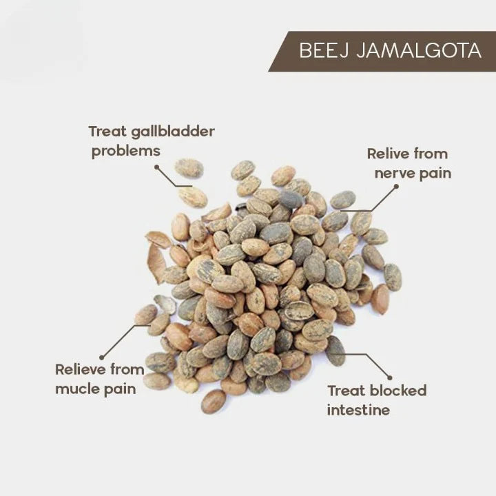 Jamalgota Ayurvedic Hair Growth Powder 100gm